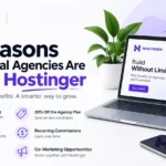 6 Reasons Digital Agencies Are Exploring Hostinger